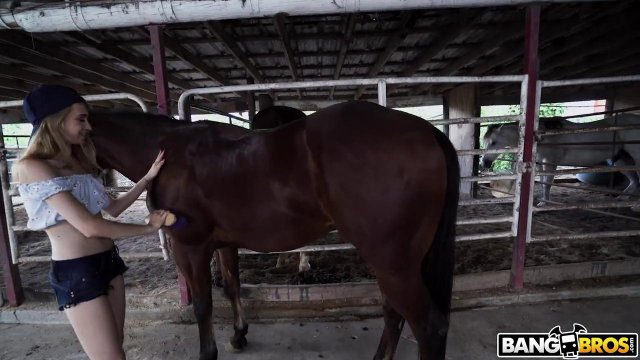 Превью Жаркий отсос члена и секс с молодой блондинкой на конюшне № 35913