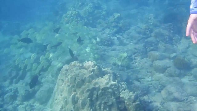 Превью Худая блондинка раздевается в эротическом видео на пляже и в машине № 36036