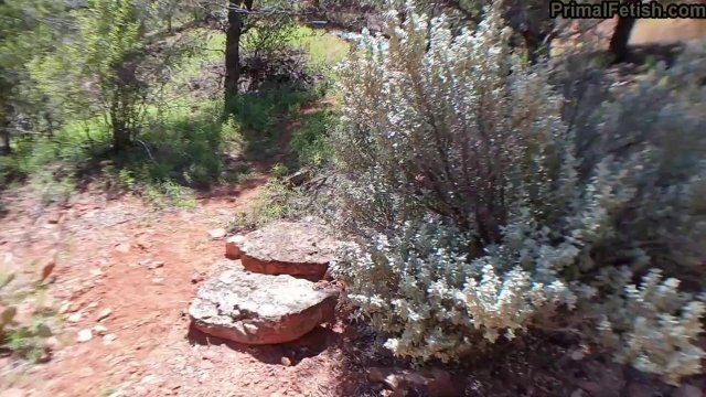 Превью Хуй встал от одного только вида голой сестры № 36307